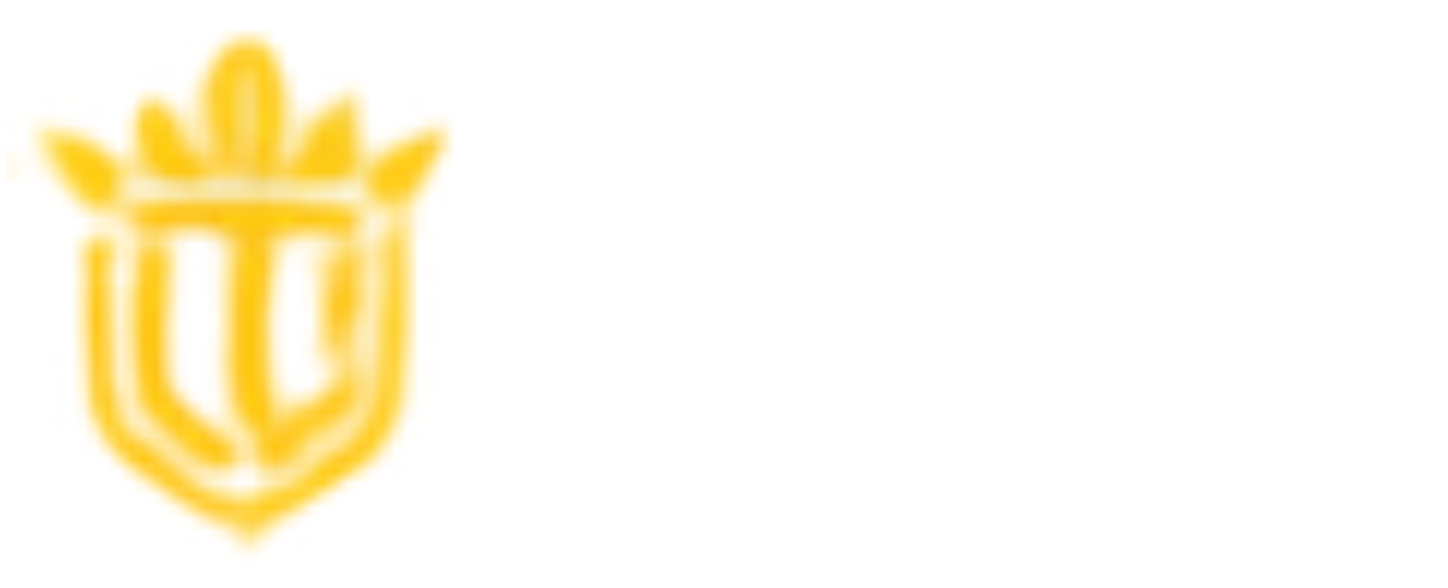 Luxikos Financing Solutions